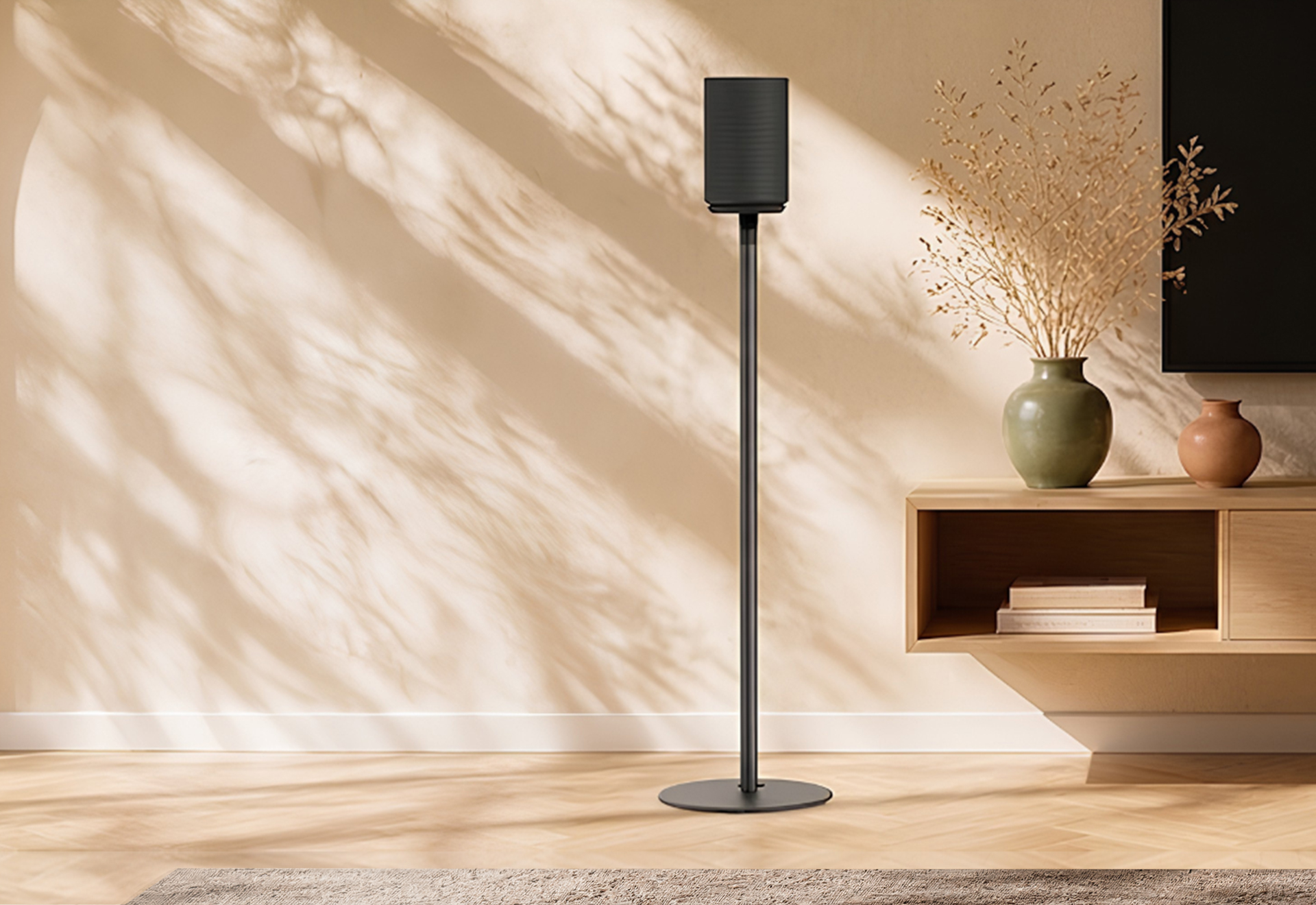 Sonos mounts