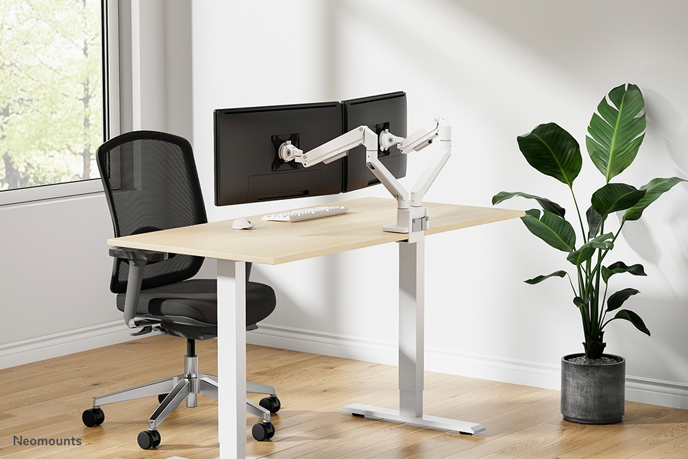 Neomounts DS70-250WH2 Monitor arm
