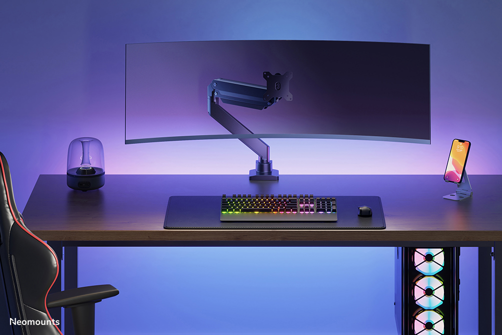 Newstar Select monitor desk mount 